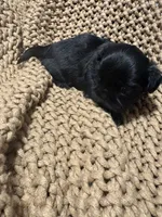 processed/e75ac80e-b17a-40f1-9acb-0a1dfee9b948/listing/49ac744a-843c-44f5-b64d-543cb988dee4/b1d35383-a307-4363-9221-b39f2dad51f2