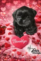 processed/e75ac80e-b17a-40f1-9acb-0a1dfee9b948/listing/49ac744a-843c-44f5-b64d-543cb988dee4/b932a436-bca2-4252-8873-365bda6be33b