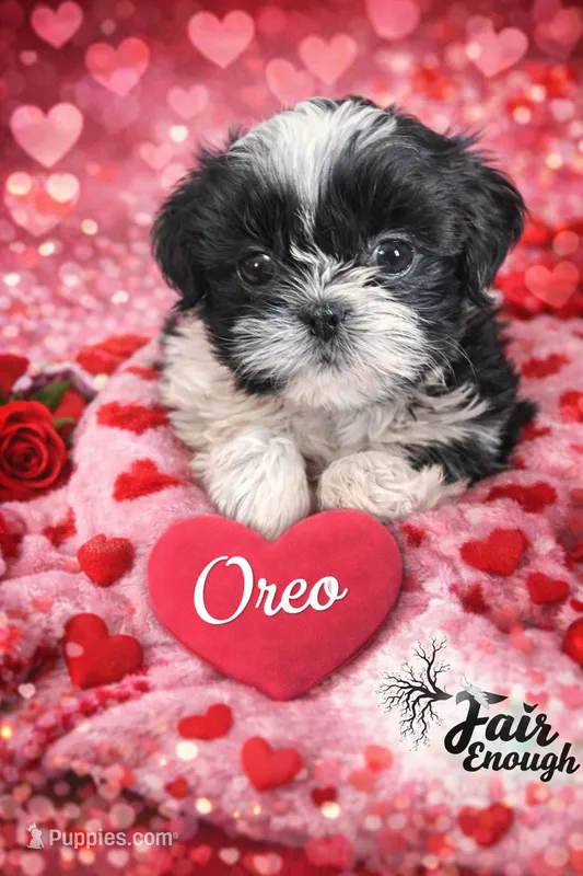 Oreo
