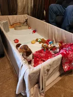 processed/e774e76e-0d88-4dab-a94f-289aa96b18cb/facility/f6d9954c-364e-40e4-9735-70b90f9b48b8