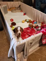 processed/e774e76e-0d88-4dab-a94f-289aa96b18cb/facility/f7e9b6a7-f15f-4e28-b890-24f8e5ca0699