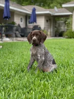 processed/e77ba291-a9c5-478d-a805-d0a68233f6e3/listing/41cc51d4-9013-4306-bd14-e19b5ca41790/08da71ac-7e53-443c-98be-753d692a90b8