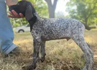 processed/e77ba291-a9c5-478d-a805-d0a68233f6e3/listing/41cc51d4-9013-4306-bd14-e19b5ca41790/3ea40992-8d8b-49bb-9f26-dc5bd9353583