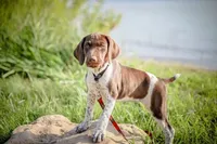 processed/e77ba291-a9c5-478d-a805-d0a68233f6e3/listing/41cc51d4-9013-4306-bd14-e19b5ca41790/ce4d3b66-a5d9-4fe0-ab00-dbe9618cb62a