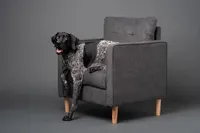 processed/e77ba291-a9c5-478d-a805-d0a68233f6e3/listing/41cc51d4-9013-4306-bd14-e19b5ca41790/d7a57852-0602-4e17-bc23-d53c9d16faaf