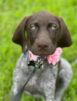 processed/e77ba291-a9c5-478d-a805-d0a68233f6e3/listing/41cc51d4-9013-4306-bd14-e19b5ca41790/fb2dd963-e747-4a35-a5c7-c9b58cb0e104