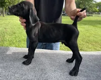 processed/e77ba291-a9c5-478d-a805-d0a68233f6e3/listing/4eb888e5-25dc-407f-8a8e-2d4adbae0149/0a2c815a-53e5-421c-9265-c1375cec2b83