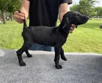 processed/e77ba291-a9c5-478d-a805-d0a68233f6e3/listing/4eb888e5-25dc-407f-8a8e-2d4adbae0149/1edd6131-6f63-4504-9f37-38d851e0851f