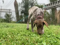 processed/e77ba291-a9c5-478d-a805-d0a68233f6e3/listing/70a8d273-7fc6-40af-8c02-9f63e213a3b4/1fac9daa-0703-44e2-bccd-4fa36447631b