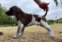 processed/e77ba291-a9c5-478d-a805-d0a68233f6e3/listing/70a8d273-7fc6-40af-8c02-9f63e213a3b4/61e4c8ae-e63f-4315-9816-2ddad8f865a2