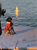 processed/e77ba291-a9c5-478d-a805-d0a68233f6e3/listing/70a8d273-7fc6-40af-8c02-9f63e213a3b4/8419e62b-a15e-4e0c-be80-cc4af8b335f3