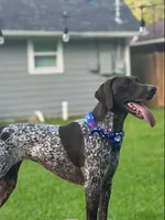 processed/e77ba291-a9c5-478d-a805-d0a68233f6e3/listing/70a8d273-7fc6-40af-8c02-9f63e213a3b4/da07c961-c2e8-4980-85b1-9d59af344202