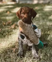 processed/e77ba291-a9c5-478d-a805-d0a68233f6e3/listing/70a8d273-7fc6-40af-8c02-9f63e213a3b4/dbf4f06f-e541-4e3d-a8e2-6f5f6100e147