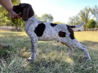 processed/e77ba291-a9c5-478d-a805-d0a68233f6e3/listing/70a8d273-7fc6-40af-8c02-9f63e213a3b4/e89cc9a8-6801-4249-a314-4739d595d4a2