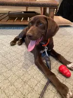 processed/e77ba291-a9c5-478d-a805-d0a68233f6e3/listing/70a8d273-7fc6-40af-8c02-9f63e213a3b4/efe671f0-1ae0-42f8-9d4c-61ed66ed595f