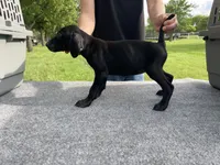 processed/e77ba291-a9c5-478d-a805-d0a68233f6e3/listing/841476a2-2d4f-449b-b13c-cc18095da018/50eac96e-47fb-4708-be13-ee852eda4bea