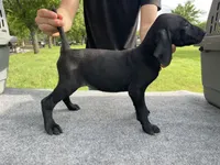 processed/e77ba291-a9c5-478d-a805-d0a68233f6e3/listing/841476a2-2d4f-449b-b13c-cc18095da018/5dfdbbf9-3e78-4fc5-b18a-b0494b17d9dc