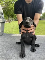 processed/e77ba291-a9c5-478d-a805-d0a68233f6e3/listing/841476a2-2d4f-449b-b13c-cc18095da018/c700620d-24f0-4325-9a0c-a41617654766