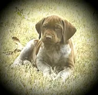 processed/e77ba291-a9c5-478d-a805-d0a68233f6e3/listing/90637fe9-fca6-4fba-9d48-82559c918746/03ffd8d6-9120-4e23-a3aa-968877b7a59c