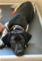 processed/e77ba291-a9c5-478d-a805-d0a68233f6e3/listing/90637fe9-fca6-4fba-9d48-82559c918746/3b09d69a-9c51-4944-aa6e-2bb43c70a1ac