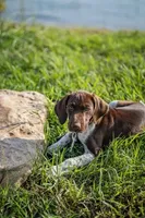 processed/e77ba291-a9c5-478d-a805-d0a68233f6e3/listing/90637fe9-fca6-4fba-9d48-82559c918746/4dbca271-7ef4-453c-a04d-fc5cd617c38c