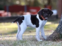 processed/e77ba291-a9c5-478d-a805-d0a68233f6e3/listing/90637fe9-fca6-4fba-9d48-82559c918746/97735cbc-db99-4f1e-bc76-89dd91ec1fed