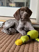 processed/e77ba291-a9c5-478d-a805-d0a68233f6e3/listing/90637fe9-fca6-4fba-9d48-82559c918746/e14614c9-0474-47a1-86c0-8e8a4d26d749