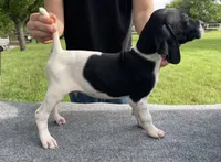 processed/e77ba291-a9c5-478d-a805-d0a68233f6e3/listing/fceea061-2e31-4d1d-97ce-33b2ac47b091/a9f14896-d654-43db-96dd-052e47c58e9c