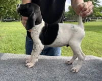 processed/e77ba291-a9c5-478d-a805-d0a68233f6e3/listing/fceea061-2e31-4d1d-97ce-33b2ac47b091/e5a37d6d-0c0b-4402-b405-9a6711cf8a59