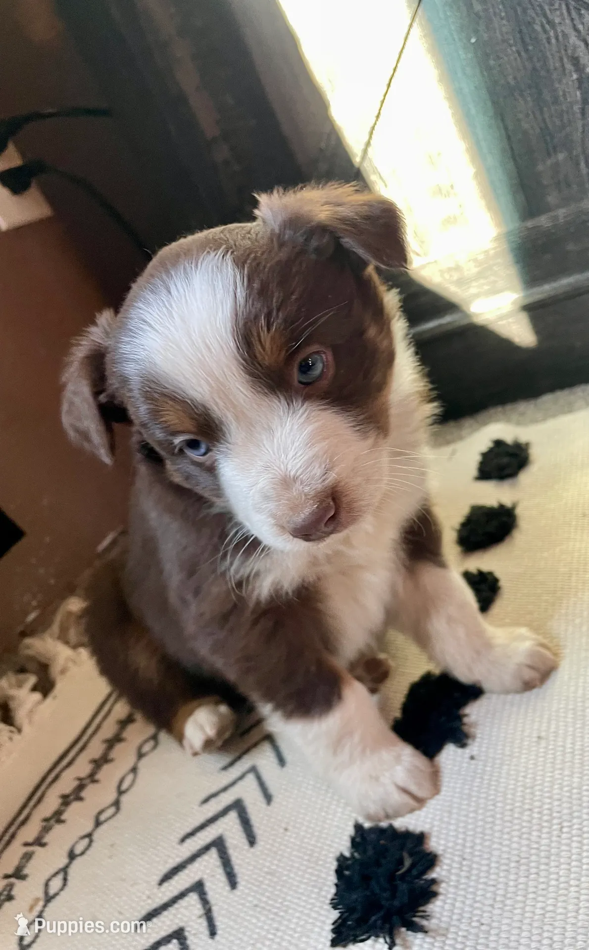 processed/e78554c8-0921-4b4e-9f4e-9b2b7cdb9e38/listing/e0f65b0b-fcdf-48b5-b374-c7397fee4e40/49234fed-4c06-4b9e-b07e-7be9f3fd7bbf