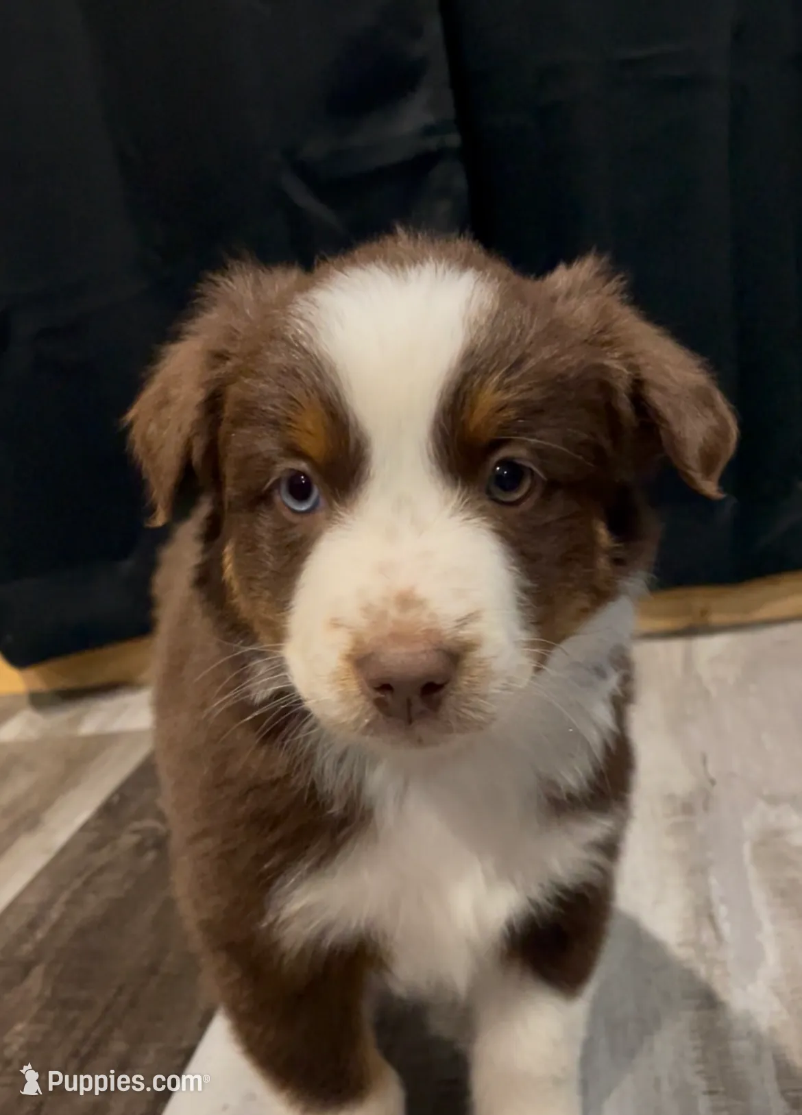 processed/e78554c8-0921-4b4e-9f4e-9b2b7cdb9e38/listing/e0f65b0b-fcdf-48b5-b374-c7397fee4e40/c82f619c-78aa-48f5-9952-89f1cca612ee