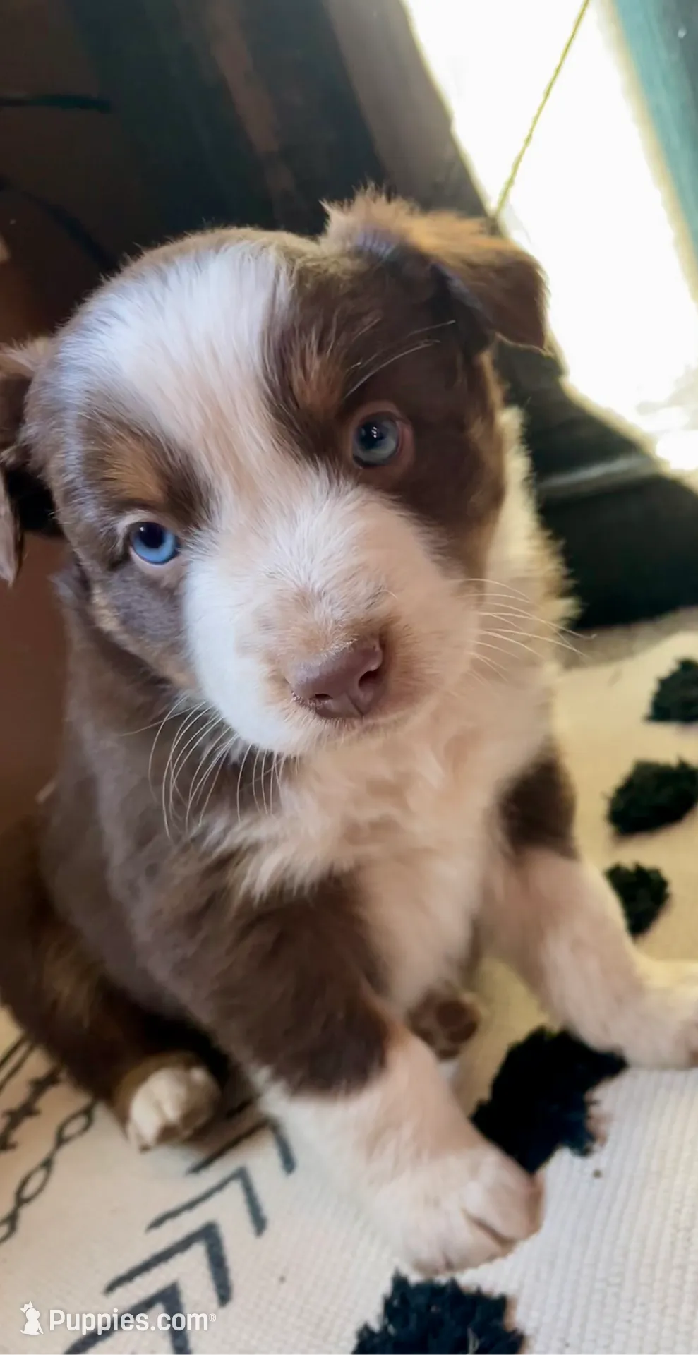 processed/e78554c8-0921-4b4e-9f4e-9b2b7cdb9e38/listing/e0f65b0b-fcdf-48b5-b374-c7397fee4e40/f6095ca6-f91a-49bc-8455-4fe821260dbc