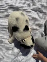 Beige, a female English Springer Spaniel for sale in Eutawville, SC – Photo 2 of 9