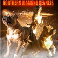 processed/e79d60d4-9ae5-4757-9b53-aa6cd932fe0f/facility/176f4324-4f41-4a33-83c4-0fbeb754410b