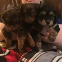 processed/e7a017d5-8d1b-4f6f-b0cd-f12fe2c7bee2/facility/04a3058e-33a7-4cd7-8585-d2c87f01868e