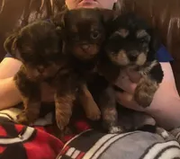 processed/e7a017d5-8d1b-4f6f-b0cd-f12fe2c7bee2/facility/04a3058e-33a7-4cd7-8585-d2c87f01868e