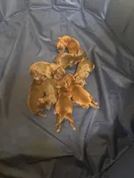 processed/e7a017d5-8d1b-4f6f-b0cd-f12fe2c7bee2/facility/0e0adf7a-e59e-4121-b0cc-f438f1b4c4ff