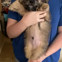 processed/e7a017d5-8d1b-4f6f-b0cd-f12fe2c7bee2/facility/163ad729-2917-4242-a970-098c7876f4c8