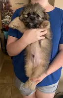 processed/e7a017d5-8d1b-4f6f-b0cd-f12fe2c7bee2/facility/163ad729-2917-4242-a970-098c7876f4c8