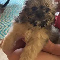 processed/e7a017d5-8d1b-4f6f-b0cd-f12fe2c7bee2/facility/36da4cc0-2ac7-4614-896f-f0421be93571