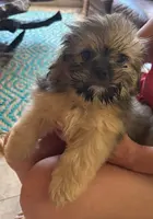 processed/e7a017d5-8d1b-4f6f-b0cd-f12fe2c7bee2/facility/36da4cc0-2ac7-4614-896f-f0421be93571