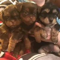 processed/e7a017d5-8d1b-4f6f-b0cd-f12fe2c7bee2/facility/67a74c0d-e9f3-42eb-a5da-5a9a04f57bf3