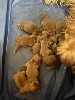 processed/e7a017d5-8d1b-4f6f-b0cd-f12fe2c7bee2/facility/79f8b533-4373-4973-ad35-1a539ac72f02