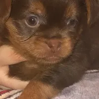 processed/e7a017d5-8d1b-4f6f-b0cd-f12fe2c7bee2/facility/890c021f-5d8d-47a7-a9ae-204a8ef2ac9f