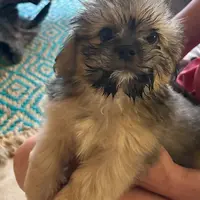 processed/e7a017d5-8d1b-4f6f-b0cd-f12fe2c7bee2/facility/a3f58aab-d557-4e15-8be7-c546d4993666