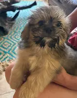 processed/e7a017d5-8d1b-4f6f-b0cd-f12fe2c7bee2/facility/a3f58aab-d557-4e15-8be7-c546d4993666