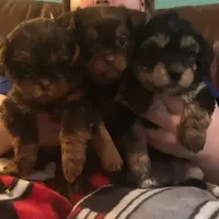 processed/e7a017d5-8d1b-4f6f-b0cd-f12fe2c7bee2/facility/b7b48703-c9e7-4572-ac60-3a713bf5c948