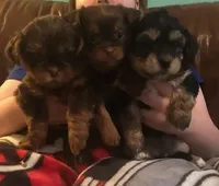 processed/e7a017d5-8d1b-4f6f-b0cd-f12fe2c7bee2/facility/b7b48703-c9e7-4572-ac60-3a713bf5c948