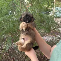 processed/e7a017d5-8d1b-4f6f-b0cd-f12fe2c7bee2/facility/cad24635-5d51-4f0e-a9e6-13bdfd3adae1