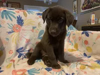 processed/e7a3bea7-3de2-4fe6-a600-83c0be19dc20/listing/1153fc17-7b37-4556-a8d0-002e38b1b46c/07c7fd2c-ee98-4f19-b5b1-4b8e497c3a2d